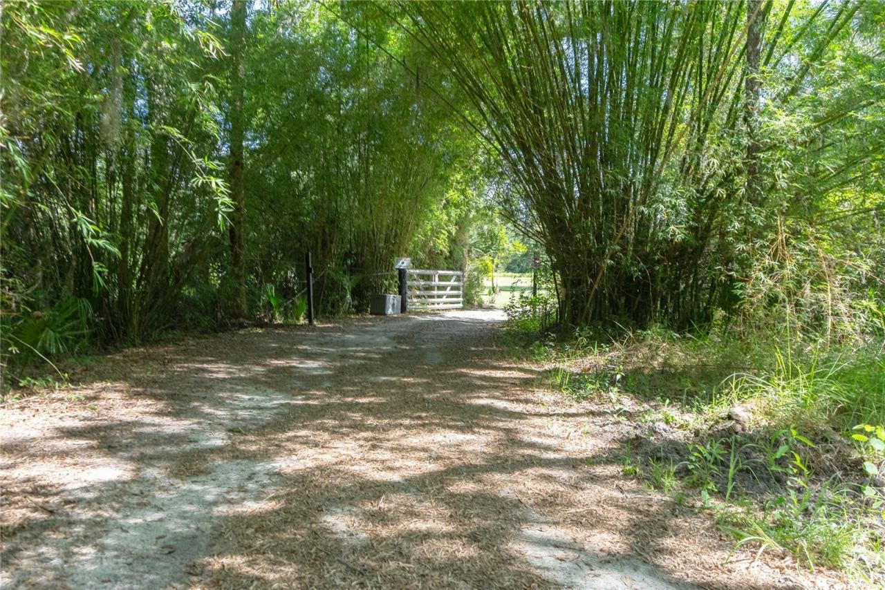 Photo 2 of 776 Maytown Rd, Oak Hill, FL 32759