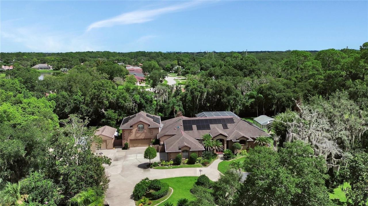 6241 Palomino Cir, Port Orange