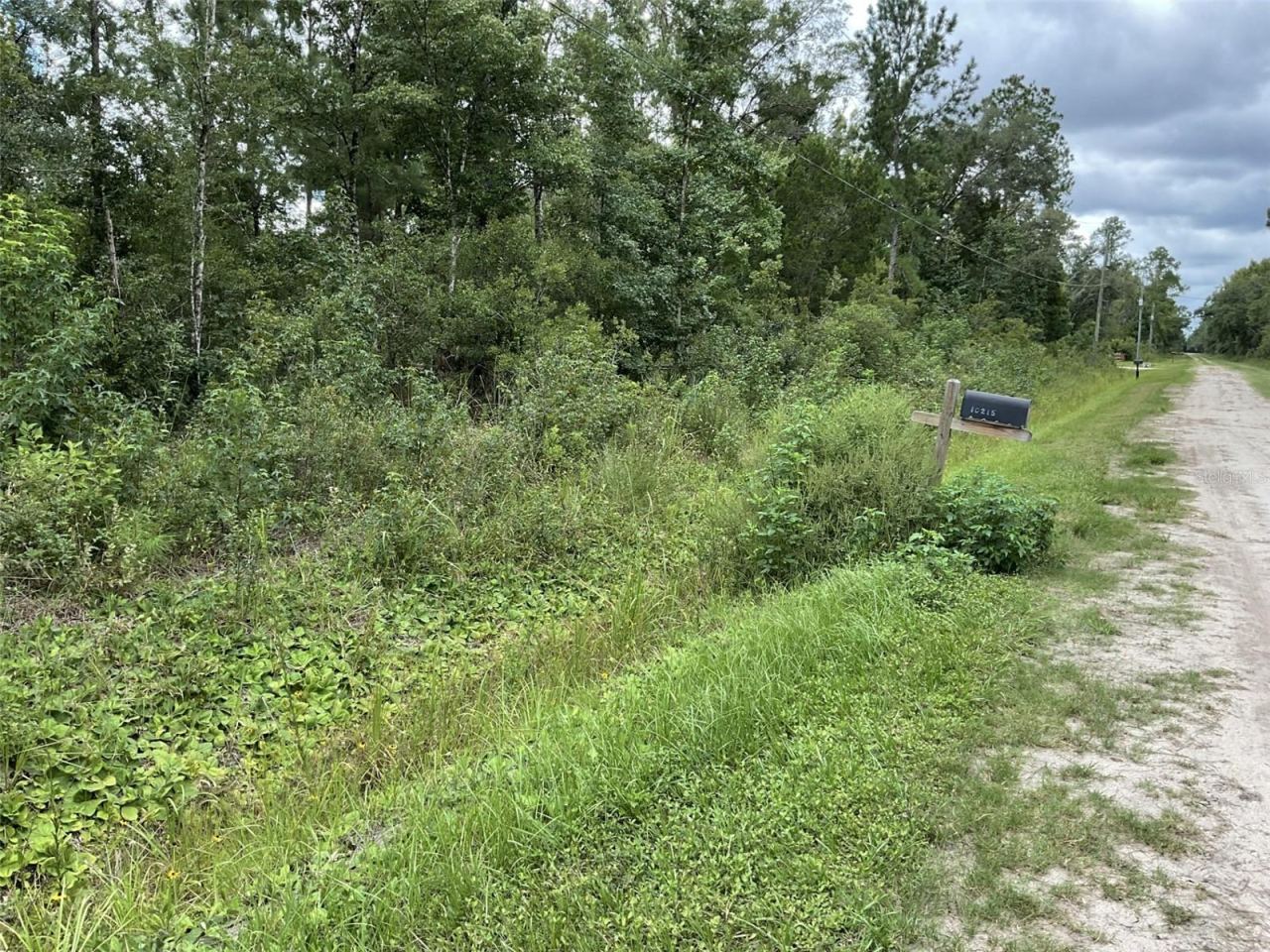 Photo 3 of 10210 Vaughan Ave, Hastings, FL 32145