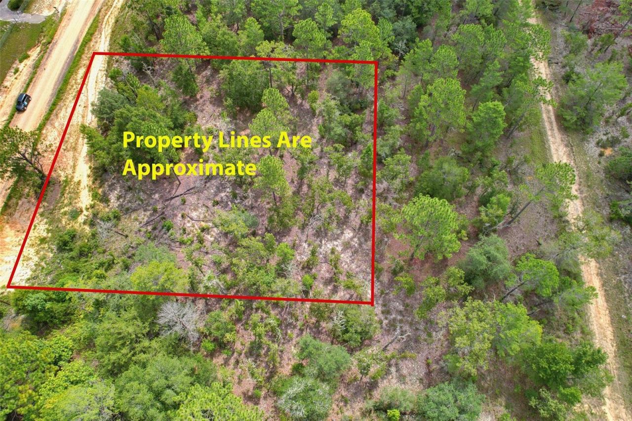 Photo 3 of 515 Interlachen Blvd, Interlachen, FL 32148