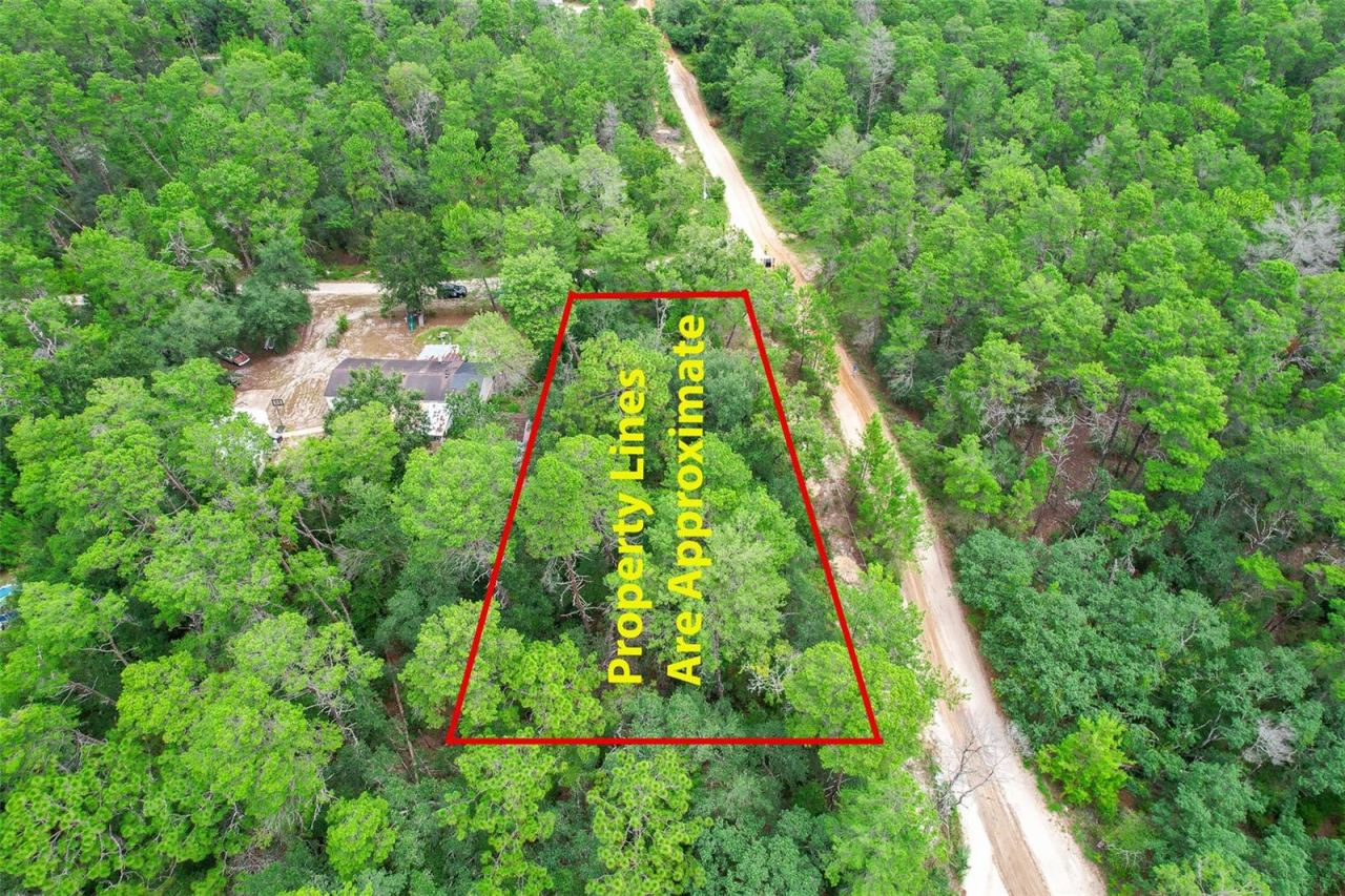 206 Utah St, Satsuma, FL 32189