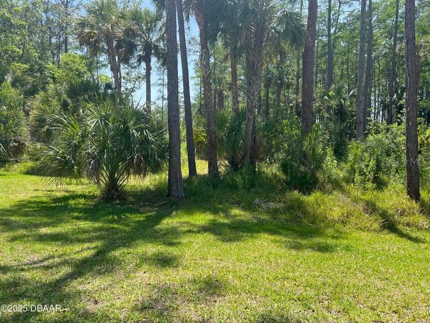 Photo 2 of 3 Remington Rd, Ormond Beach, FL 32174