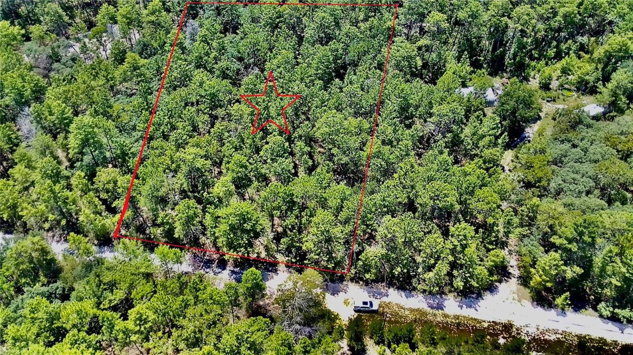 121 Pear St, Welaka, FL 32193
