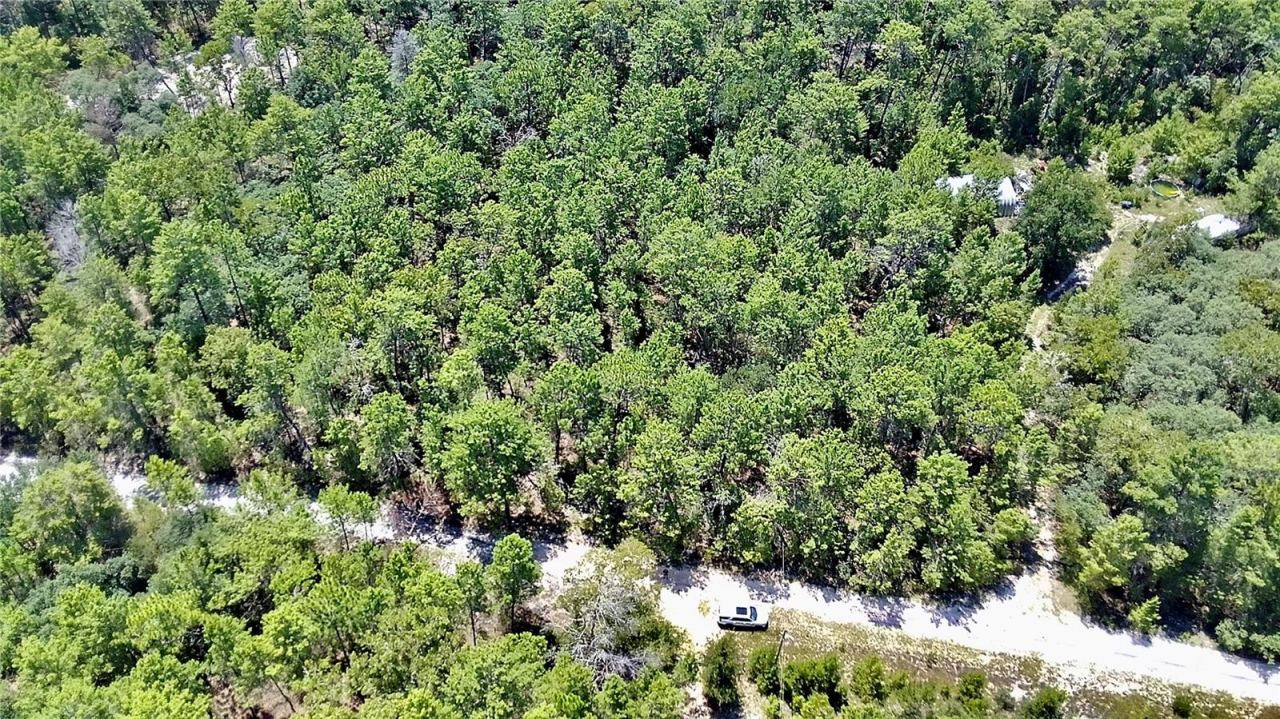 Photo 2 of 121 Pear St, Welaka, FL 32193