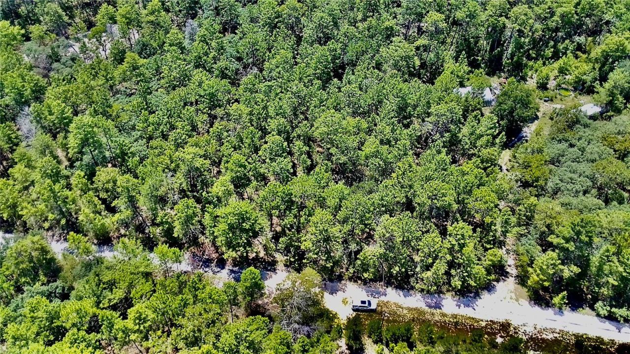 Photo 3 of 121 Pear St, Welaka, FL 32193