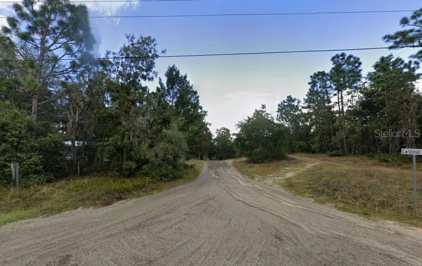 Photo 3 of Centerwood Rd, Florahome, FL 32140