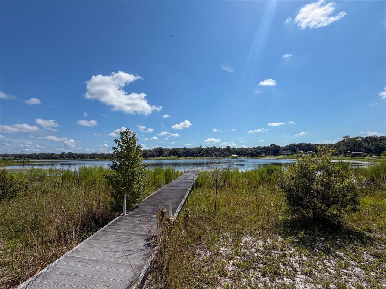 Photo 3 of 170 E Cowpen Lake Point Rd, Hawthorne, FL 32640