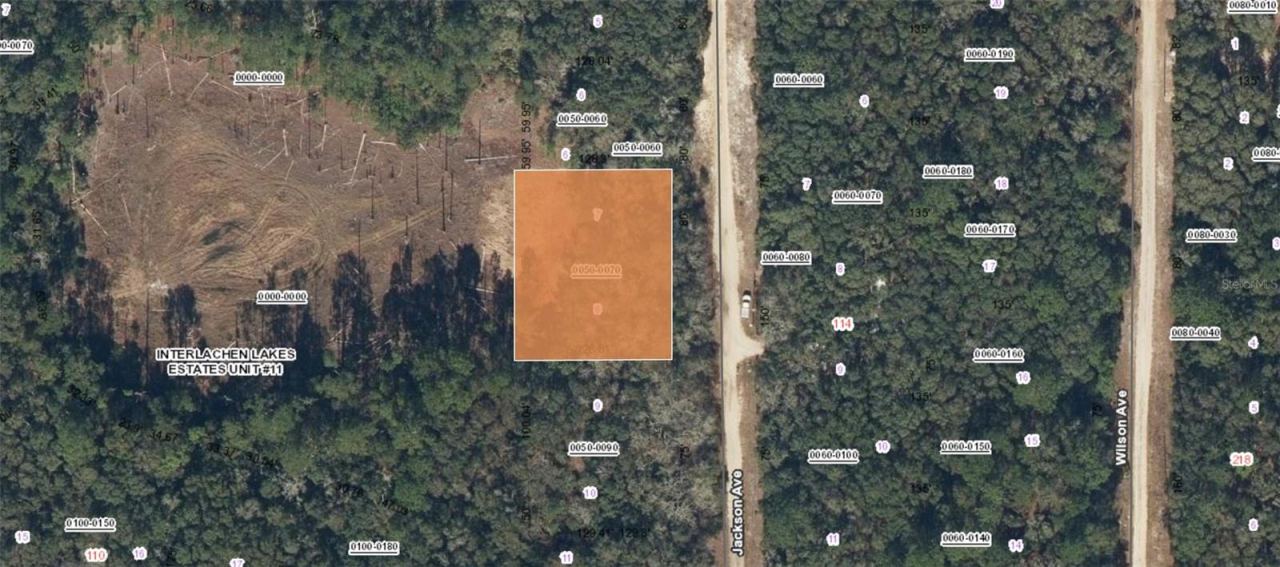 Xx Jackson Ave Interlachen Fl, Interlachen, FL 32148