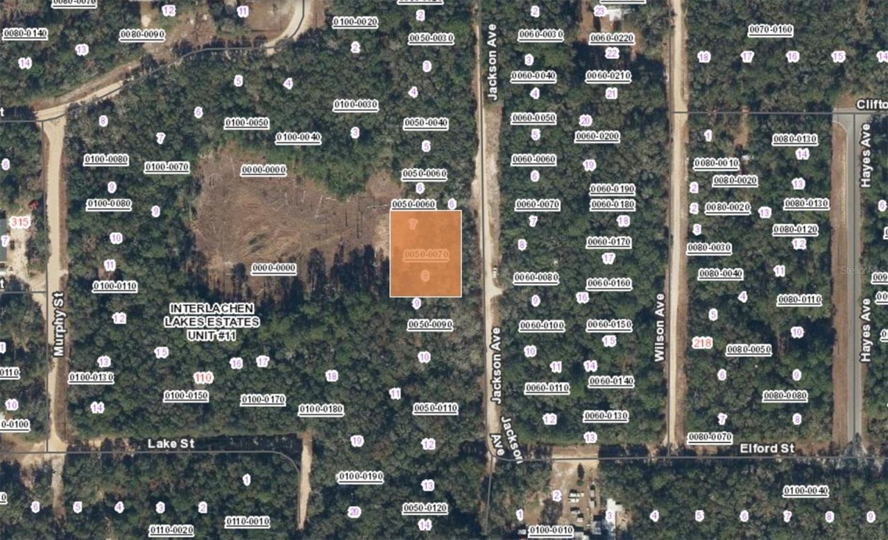 Photo 2 of Xx Jackson Ave Interlachen Fl, Interlachen, FL 32148