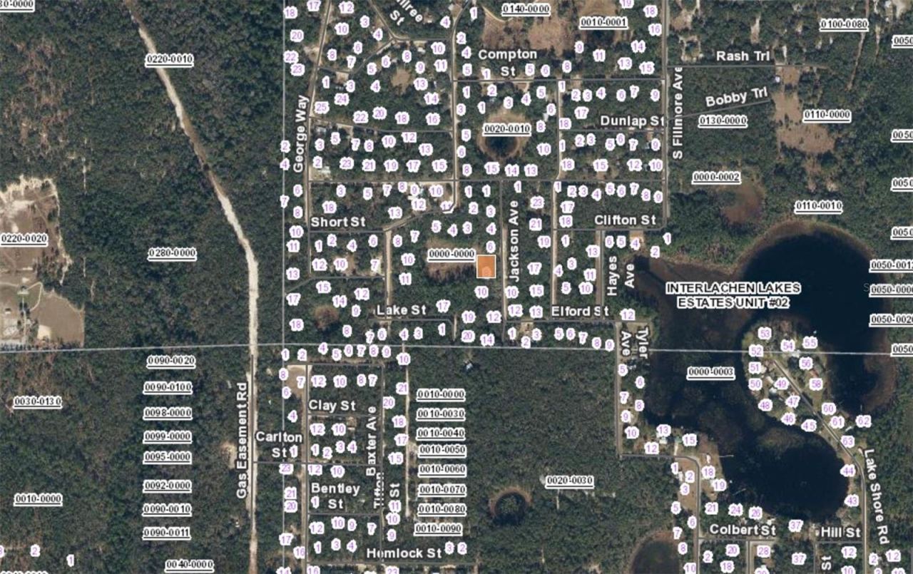 Photo 3 of Xx Jackson Ave Interlachen Fl, Interlachen, FL 32148