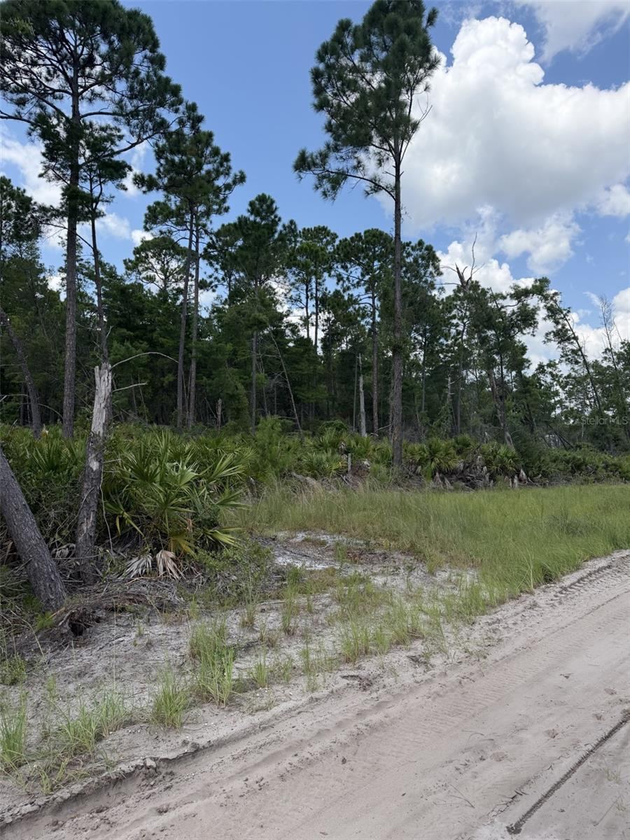 Photo 2 of 00 Ridgehaven Ave, Ormond Beach, FL 32174