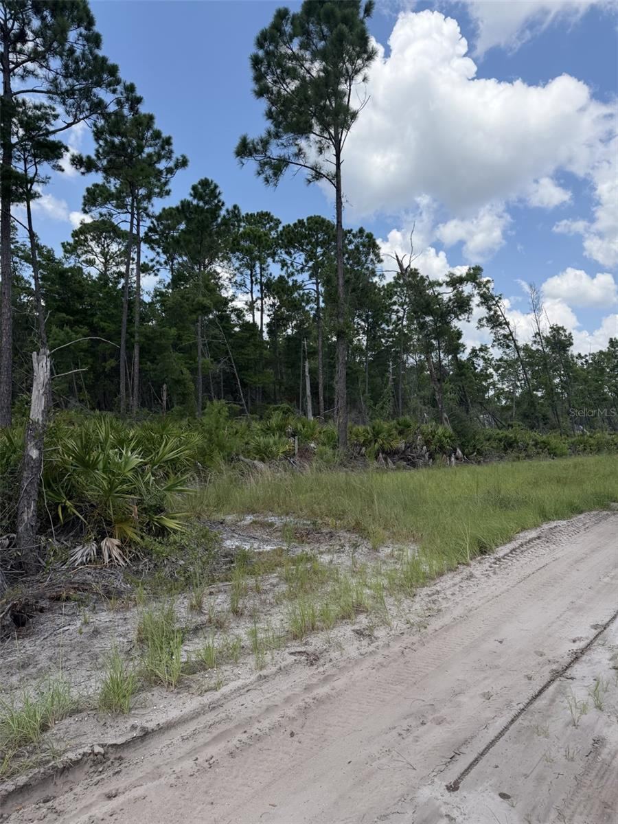 Photo 3 of 00 Ridgehaven Ave, Ormond Beach, FL 32174