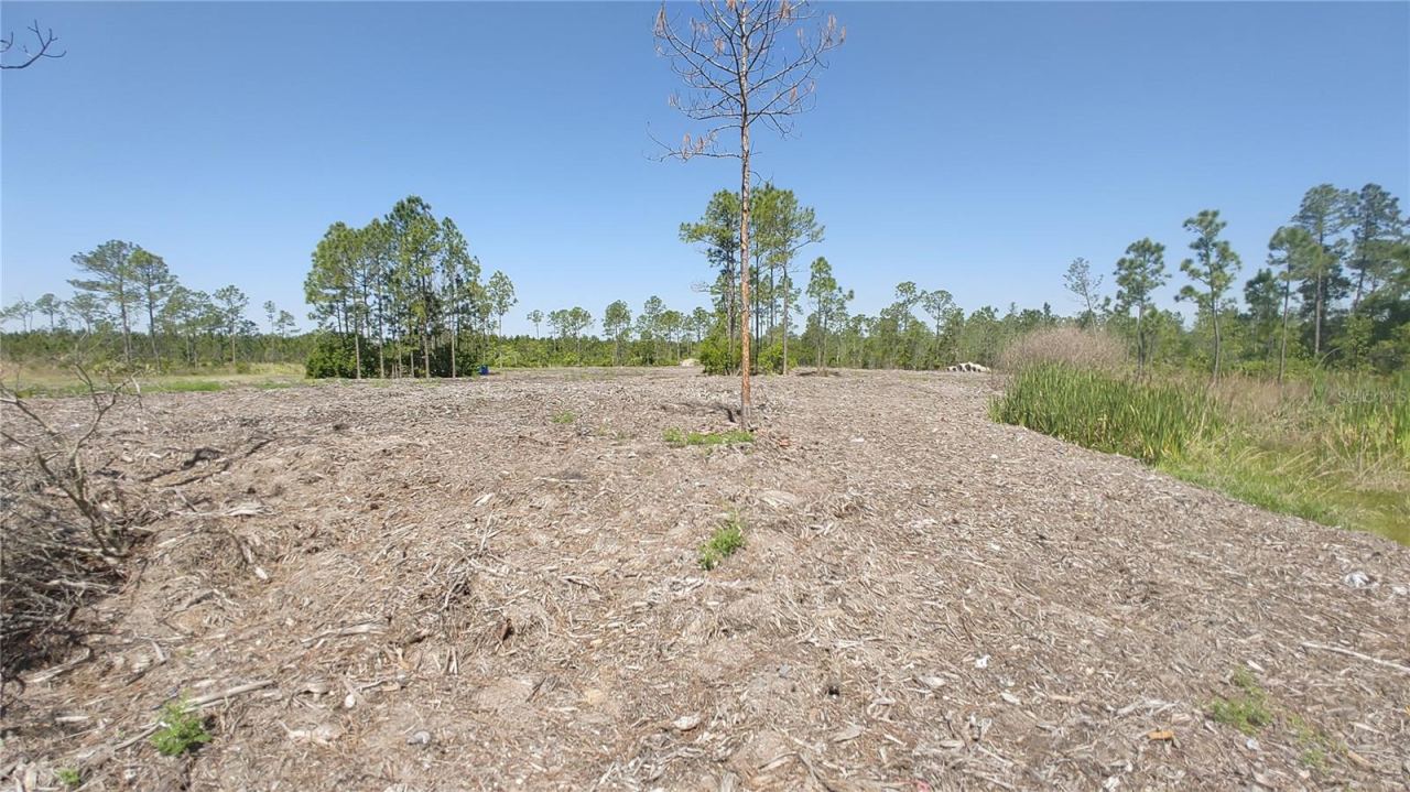 1001 Omega Ranch Rd #16, New Smyrna Beach, FL 32168