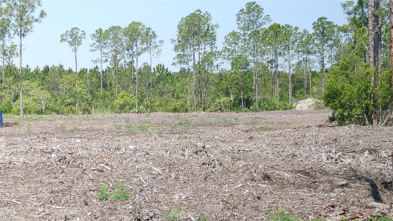 Photo 2 of 1001 Omega Ranch Rd #16, New Smyrna Beach, FL 32168