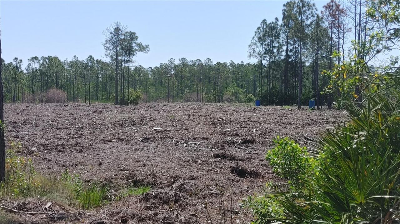 Photo 3 of 1001 Omega Ranch Rd #16, New Smyrna Beach, FL 32168