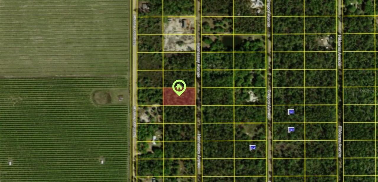 Photo 2 of 10515 Hennessey Ave, Hastings, FL 32145