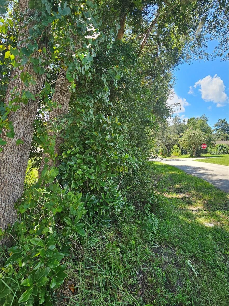 Photo 3 of 18th St, Orange City, FL 32763