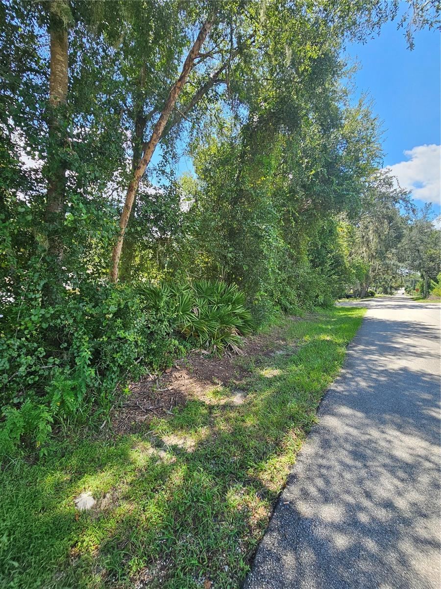 Photo 4 of 18th St, Orange City, FL 32763