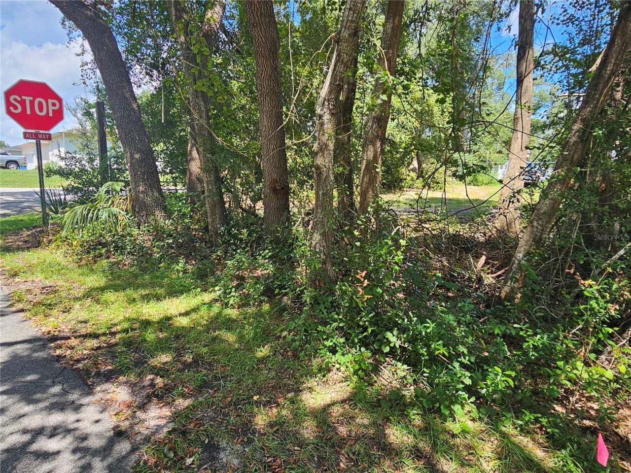 Photo 5 of 18th St, Orange City, FL 32763