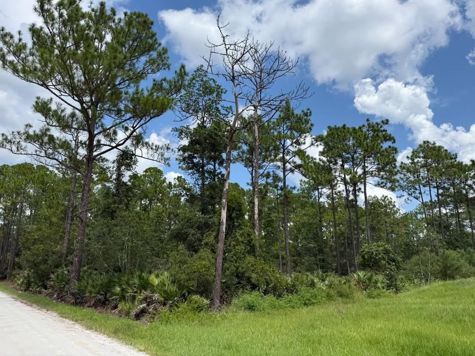 Unassigned East Pkwy, Deland, FL 32724