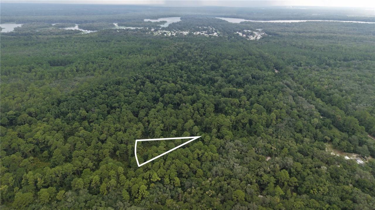 162 Carriage Pl, Satsuma, FL 32189