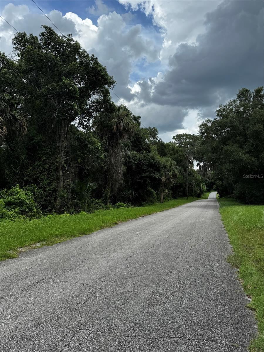 1423 Lemon St, Deland, FL 32720