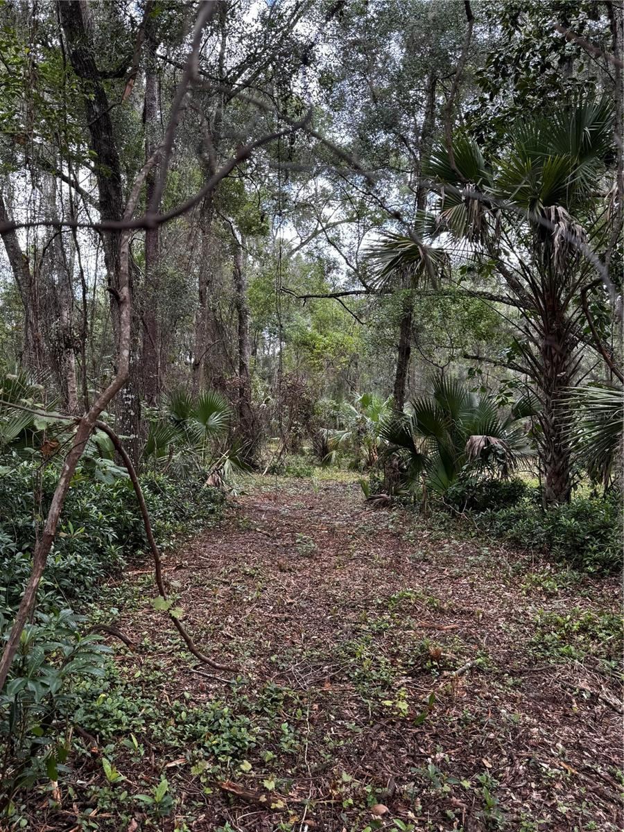 Photo 2 of 1423 Lemon St, Deland, FL 32720