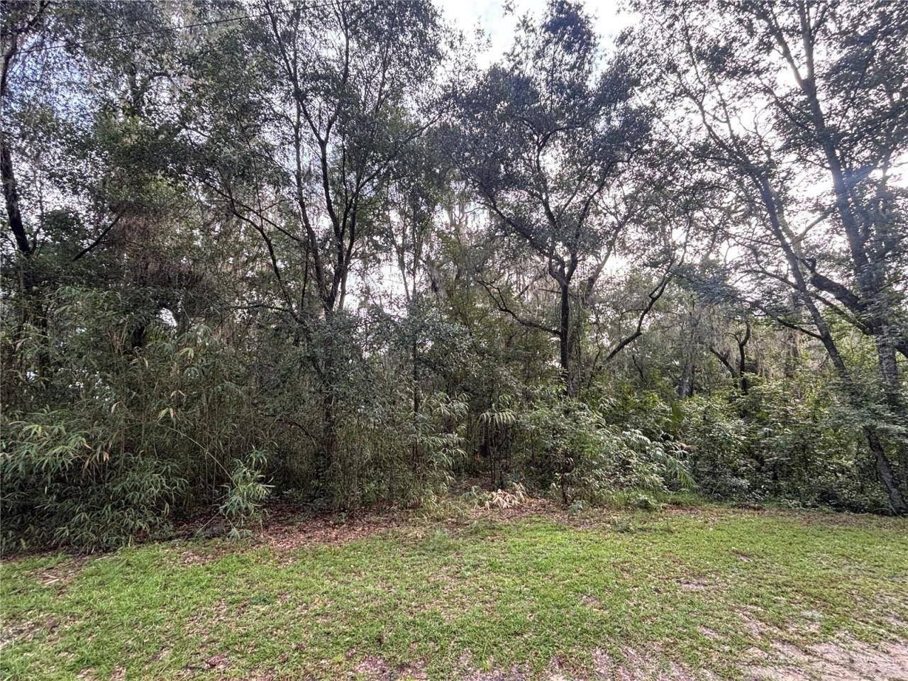 190 She She Rd, Hawthorne, FL 32640