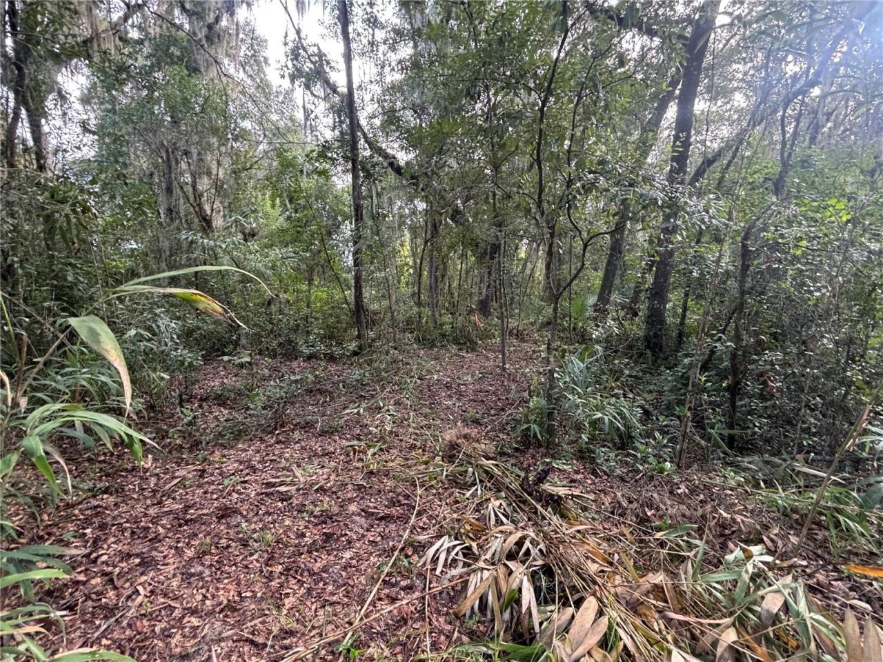 Photo 3 of 190 She She Rd, Hawthorne, FL 32640