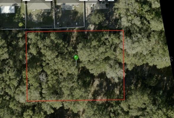 Ivy Ave, Deland, FL 32724
