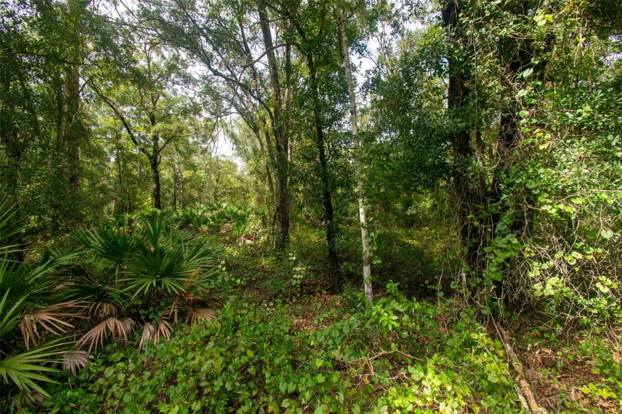 4730 Palatka Blvd, Hastings, FL 32145