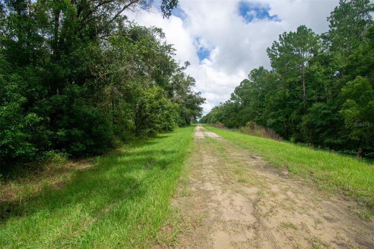 Photo 3 of 4730 Palatka Blvd, Hastings, FL 32145