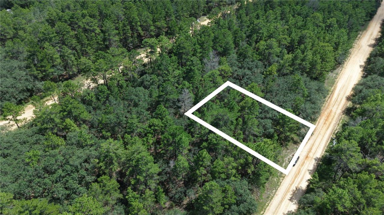 Neilsen Ave, Interlachen, FL 32148