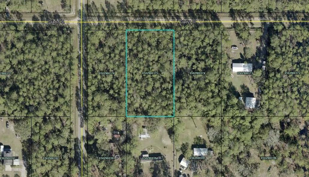 Photo 2 of 4265 Gladys St, Hastings, FL 32145