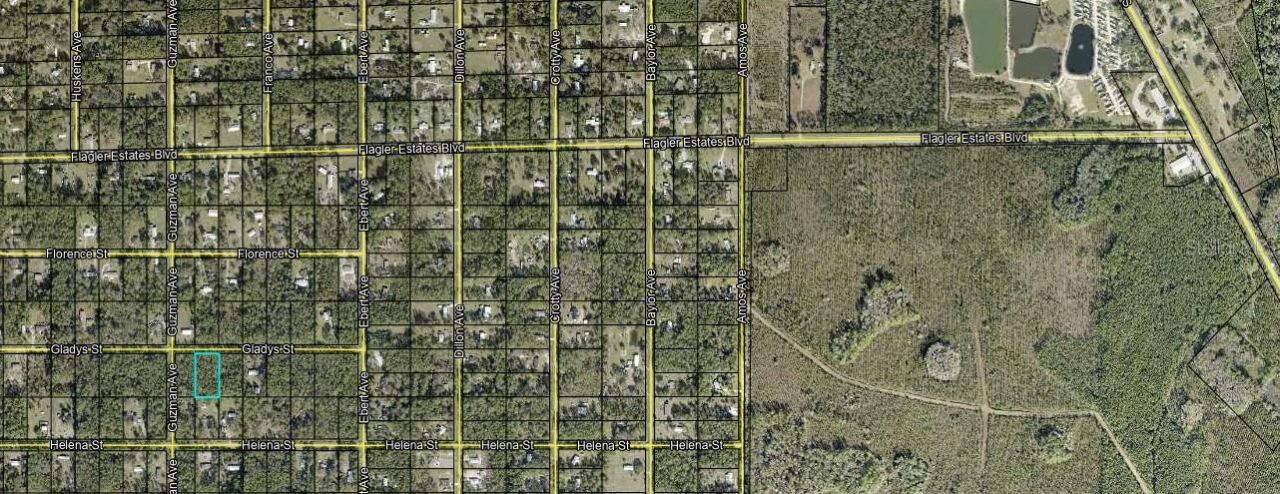 Photo 3 of 4265 Gladys St, Hastings, FL 32145