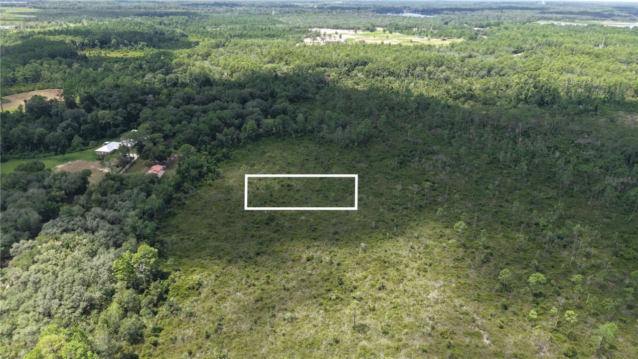 Crocus Ln, Hawthorne, FL 32640