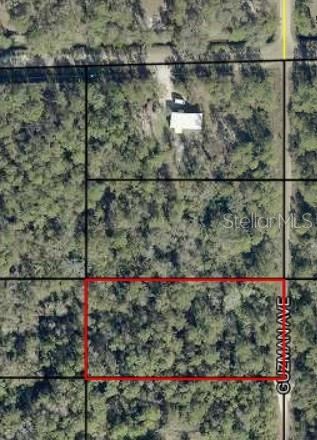 Photo 2 of 108?? Guzman Ave, Hastings, FL 32145
