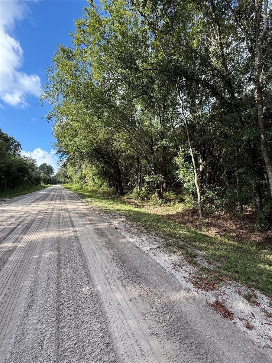1166 Honeytree St, Bunnell
