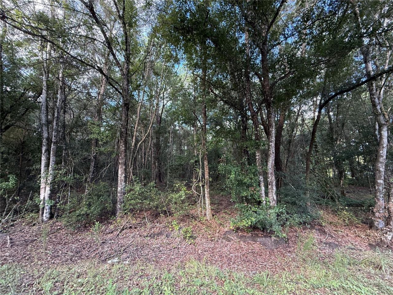 Photo 3 of 1166 Honeytree St, Bunnell, FL 32110