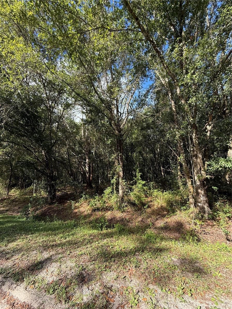 Photo 5 of 1166 Honeytree St, Bunnell, FL 32110
