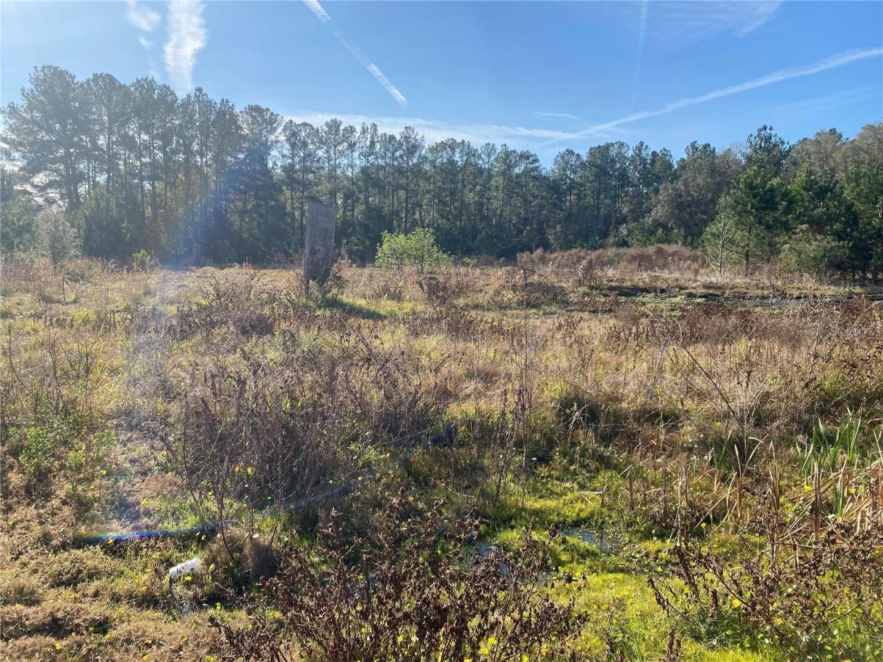 Photo 3 of 956 Us Highway 17, Satsuma, FL 32189