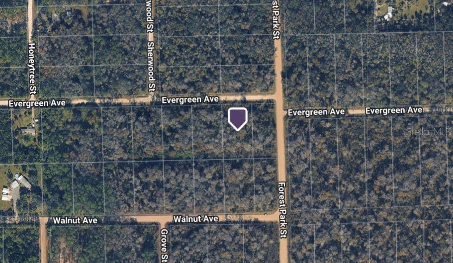 Photo 3 of 4001 Evergreen Ave, Bunnell, FL 32110