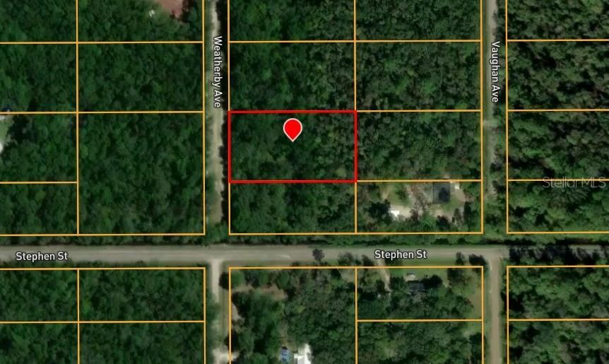 10160 Weatherby Ave, Hastings, FL 32145