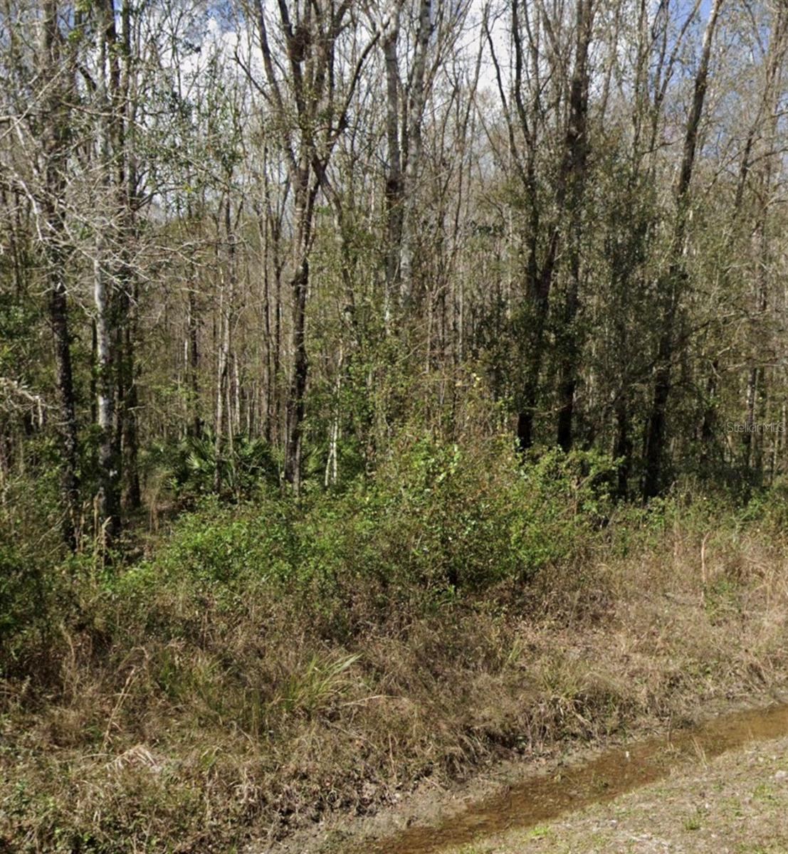 Photo 3 of 10160 Weatherby Ave, Hastings, FL 32145