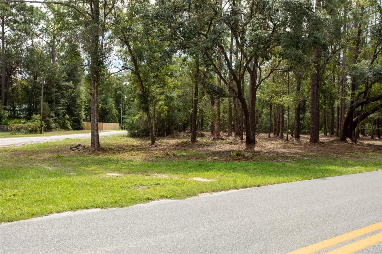 Photo 2 of W Hillsborough Ave, Florahome, FL 32140
