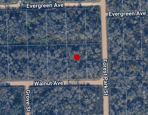 3998 Walnut Ave, Bunnell