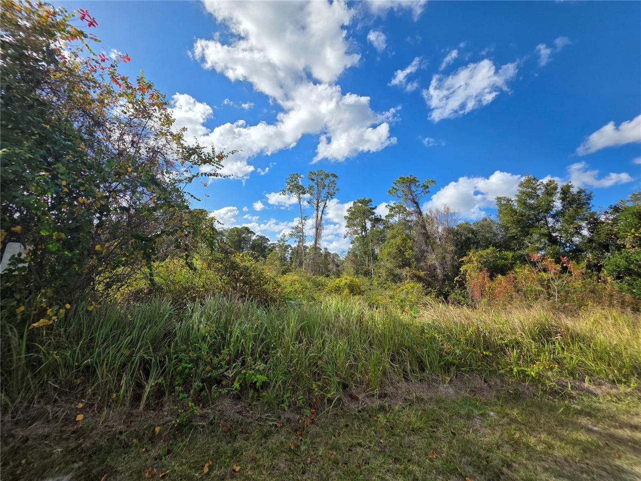 Photo 3 of 520 W Kingway Dr, Deltona, FL 32725