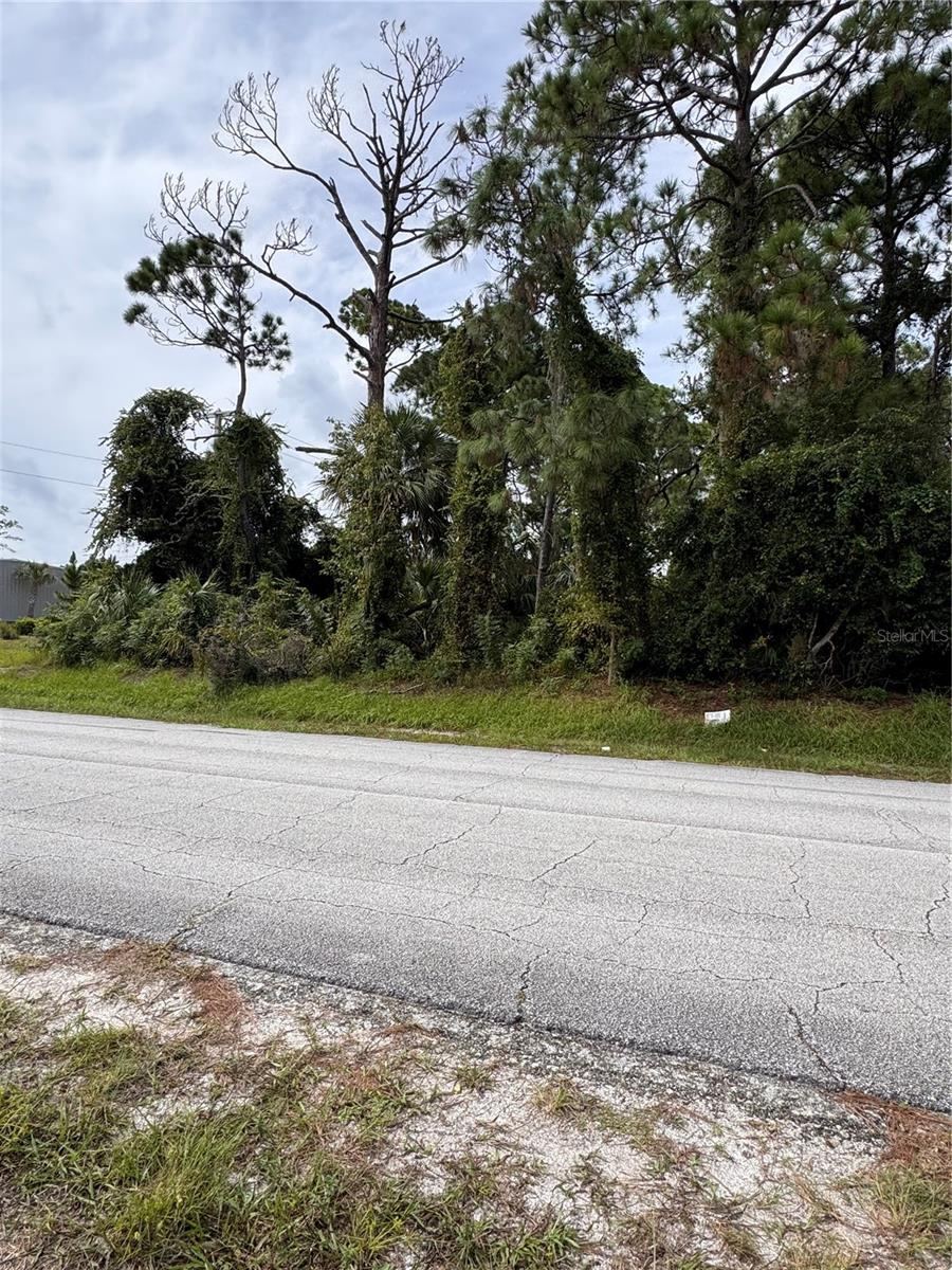 2330 Hibiscus Dr, Edgewater, FL 32141