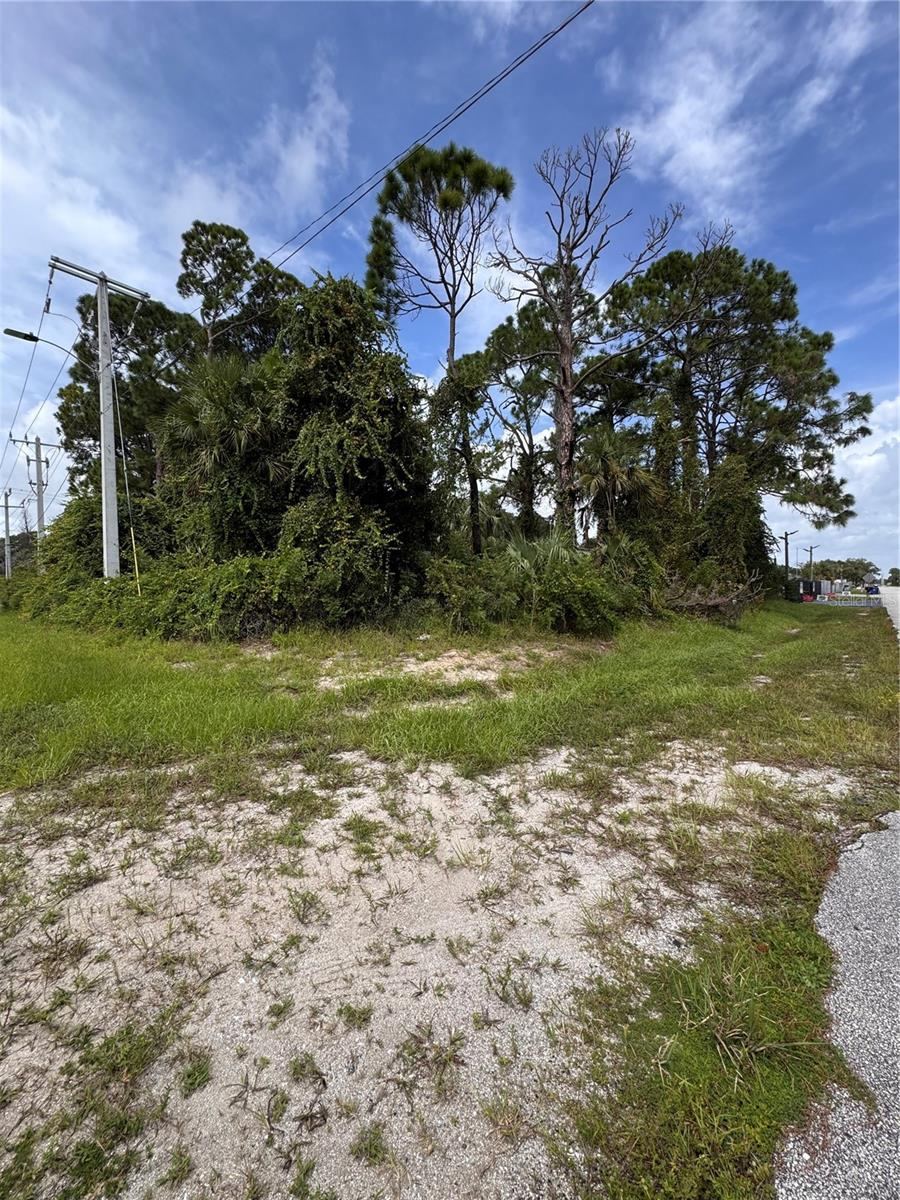Photo 3 of 2330 Hibiscus Dr, Edgewater, FL 32141
