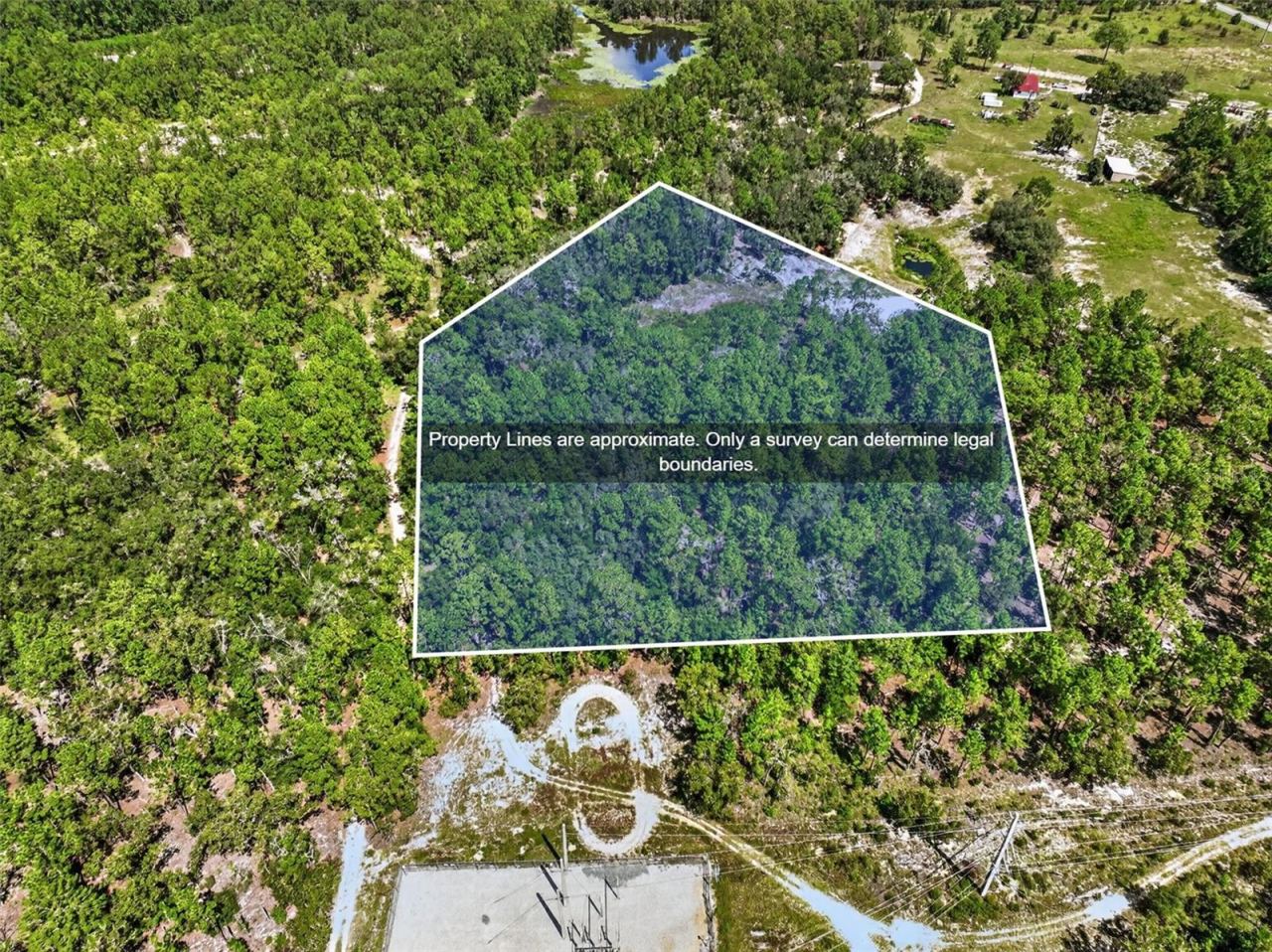 Photo 3 of 0 Lake Ray Road, Hawthorne, FL 32640